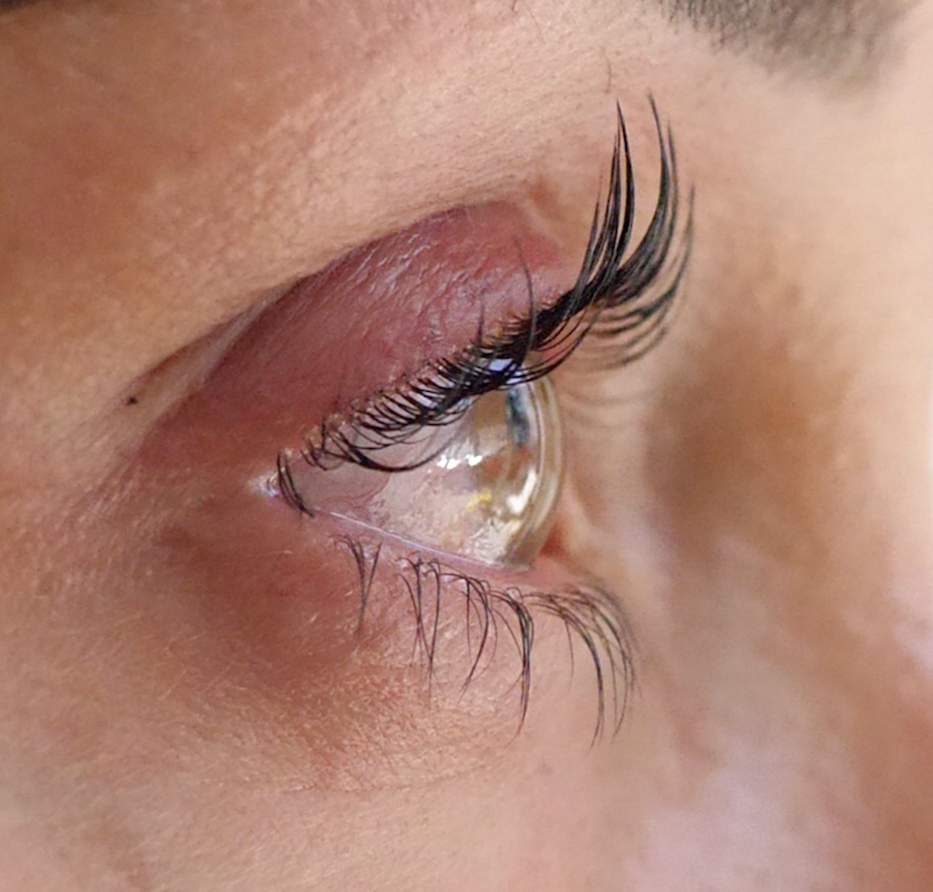 Kit "3 Steps" Bio & Vegan LASH LIFT ET BROW LIFT