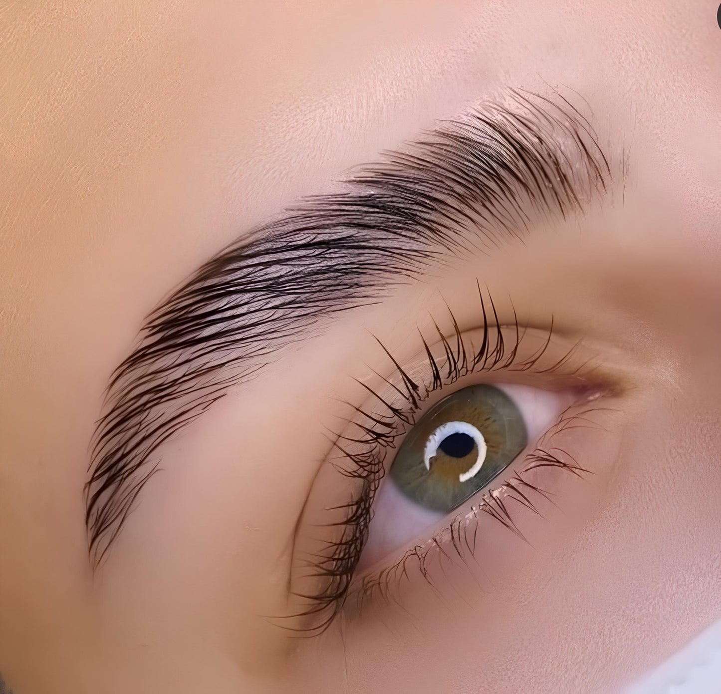 ✨ LA Formation Professionnelle BROW LIFT