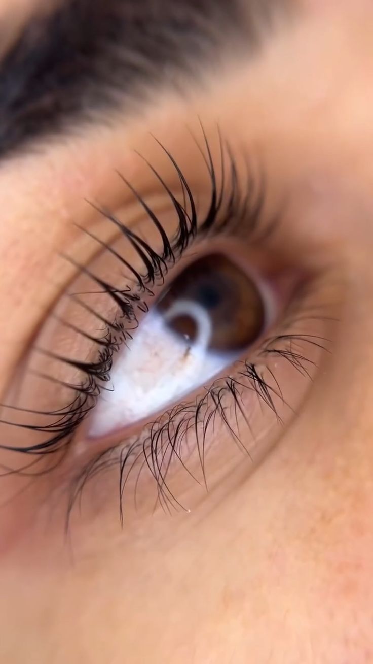 Formation Lash Lift by Save Beauté